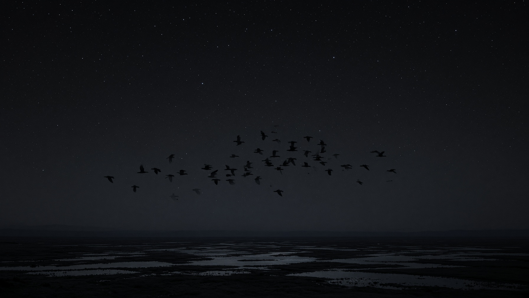 Generated interpretation of a flock crossing a northern night over dark water. Biology, not a metaphor until we make it one.